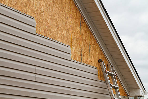 Best Storm Damage Siding Repair  in Roman Forest, TX